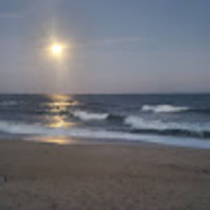 Meet your Posher, Navi